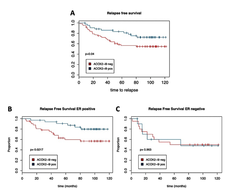 Figure 5. ACOX2-i9 expression is associated with good prognosis in a cohort of breast cancer patients. Kaplan-Meier survival curves of patients from the MicMa cohort testing positive (n = 44) or negative (n = 62) for ACOX2-i9 by PCR assay (a). b and c show survival curves for ER positive (ACOX2-i9pos n = 33, ACOX2-i9neg n = 42) and ER negative patients (ACOX2-i9pos n = 11, ACOX2-i9neg n = 20) respectively.